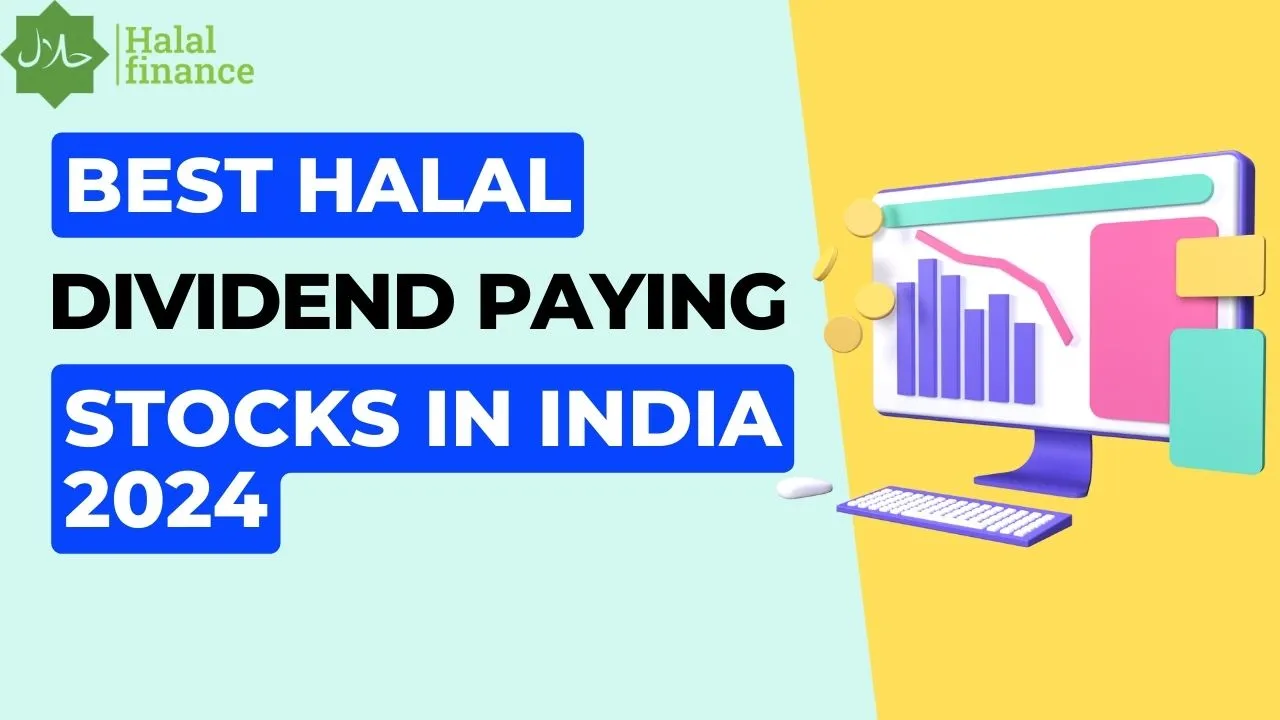 5 Highest Halal Dividend Paying Stocks in India in 2024