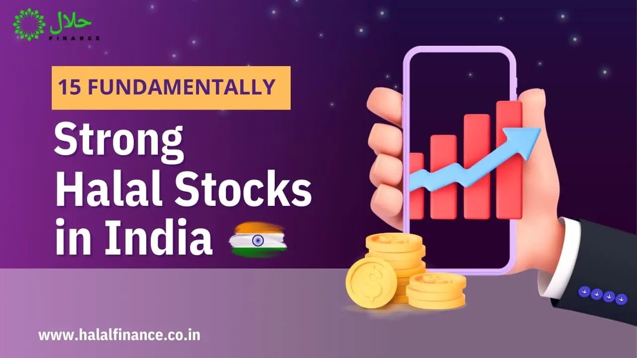 15 Best Fundamentally Strong Halal Stocks In India 2024 8740